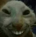 Emoji cat_with_teeth