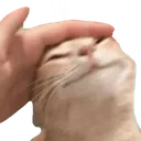 Emoji patpat