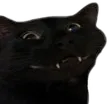 Emoji smile_cat