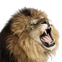 Emoji animauxmauvaisenouvelle