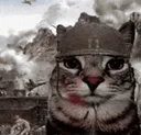 Emoji soldierCatWar