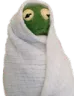 Emoji kermit_blanket