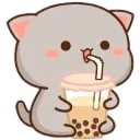Emoji graybobacat