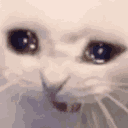 Emoji sadlaugh