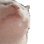 Emoji catJAM