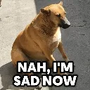 Emoji emoji_9