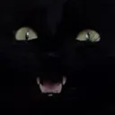 Emoji CI_bunnyu