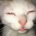 Emoji CI_broijustwokeup