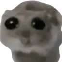 Emoji CI_sadHamster