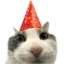 Emoji CI_PartyCat