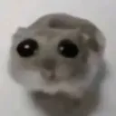 Emoji HamsterSad