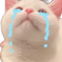 Emoji CatCryingAlot