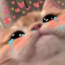 Emoji CatCryingLuv