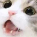 Emoji CatWhat