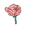 Emoji roserose