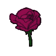 Emoji roseroseFonc