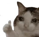 Emoji cat_thumb
