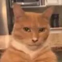 Emoji patapouf