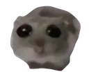 Emoji Capture_d_cran_20240227_180618re
