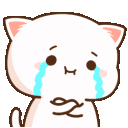 Emoji CryCat