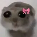 Emoji hamster