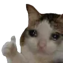 Emoji sadcat
