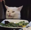 Emoji bs_cateww