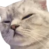 Emoji bs_zen