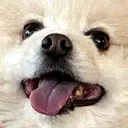 Emoji bs_doghappy