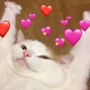 Emoji bs_lovcat