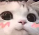 Emoji cat_blushy