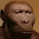 Emoji 2031monkeserious
