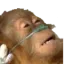 Emoji 3386lifesupport