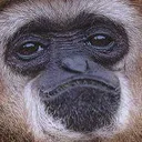 Emoji 5986unmonker