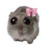 Emoji hampterPls