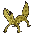 Emoji geckodance