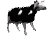 Emoji POLISHCOW