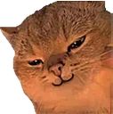 Emoji L_ECatSmirk