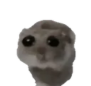 Emoji sadhamster