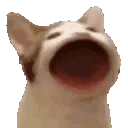 Emoji popcat