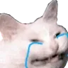 Emoji pleure