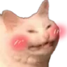 Emoji blush_cat