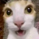 Emoji 1505surprisedcat