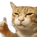 Emoji 5426catliked
