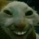 Emoji begulahead