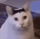 Emoji HUH
