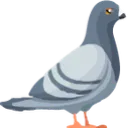 Emoji pigeon