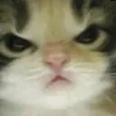 Emoji chat_nrv