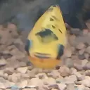 Emoji mhh