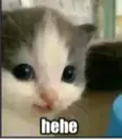 Emoji hehe